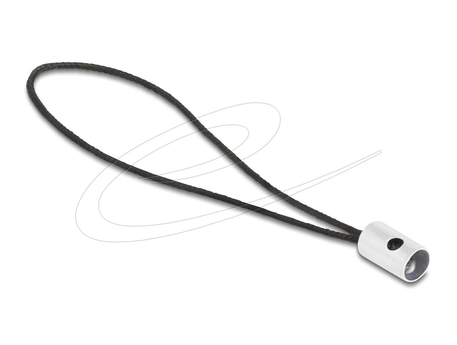 Delock Adapter USB-C male to Lightning female PD 3.0