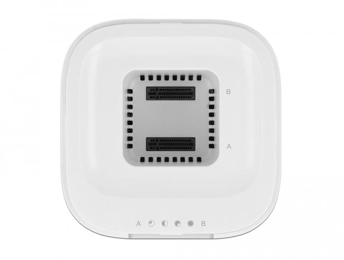Delock USB-C station, For 2 x M.2 NVMe PCIe SSD, Cloning