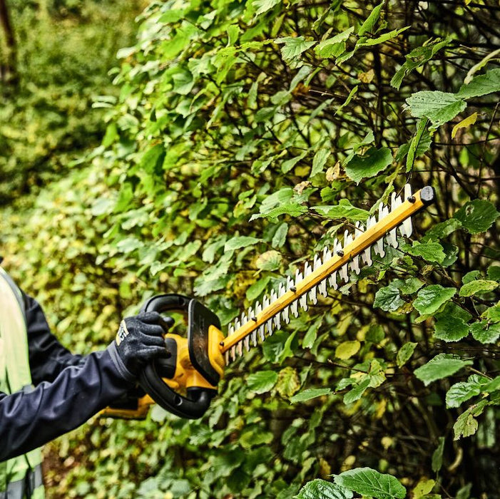 18V XR Pole Shears 55, Boom up to 3.35m, Cardboard