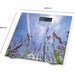 Digital Bathroom Scales Little Balance LITTLE BALANCE - Баня<<<Дом Градина<<<BigBuy&&&Кантари за баня<<<Баня<<<Дом