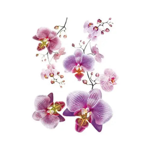 DISNEY STICKER 65X85CM./1 PART ORCHID - Стикери<<<Декорации<<<Мебели и интериор<<<Praktiker
