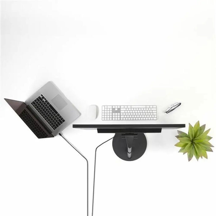 DisplayPort Cable Startech MDP2DPMM10 3 m 4K Ultra HD Black - Компютър Кабели и адаптери<<<Компютри|