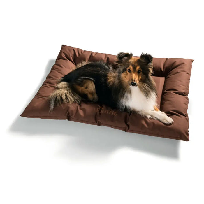 Dog Bed Hunter Gent Anti-bacterial Brown 100x70 cm - Домашни Животни<<<Дом Градина<<<BigBuy&&&Къщички и