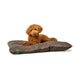 Dog Bed Hunter Rockford Brown 80x60 cm - Домашни Животни<<<Дом Градина<<<BigBuy&&&Къщички и легълца<<<Домашни