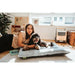 Dog Bed Hunter Rockford Grey 100 x 70 cm - Домашни Животни<<<Дом Градина<<<BigBuy&&&Къщички и легълца<<<Домашни