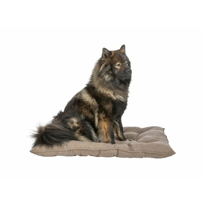 Dog Bed Trixie Brown - Домашни Животни<<<Дом Градина<<<BigBuy&&&Къщички и легълца<<<Домашни Животни<<<Дом