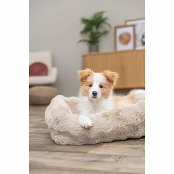 Dog Bed Trixie Sand 120 × 80 CM - Домашни Животни<<<Дом Градина<<<BigBuy&&&Къщички и легълца<<<Домашни Животни<<<Дом