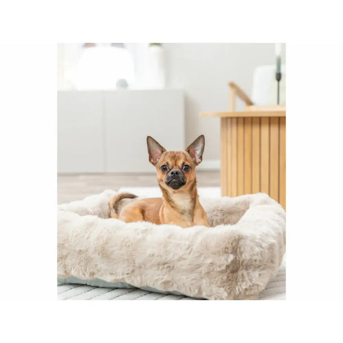 Dog Bed Trixie Sand 80 × 60 cm - Домашни Животни<<<Дом Градина<<<BigBuy&&&Къщички и легълца<<<Домашни Животни<<<Дом