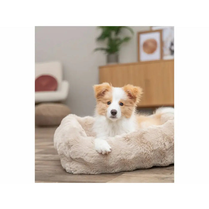 Dog Bed Trixie Sand 80 × 60 cm - Домашни Животни<<<Дом Градина<<<BigBuy&&&Къщички и легълца<<<Домашни Животни<<<Дом
