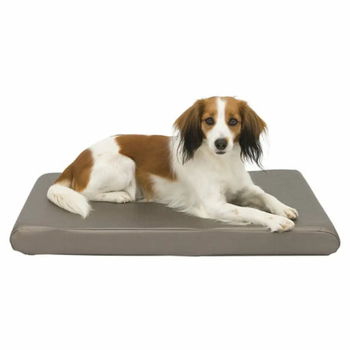 Dog Bed Trixie Sansa Taupe Metallic - Домашни Животни<<<Дом Градина<<<BigBuy&&&Къщички и легълца<<<Домашни
