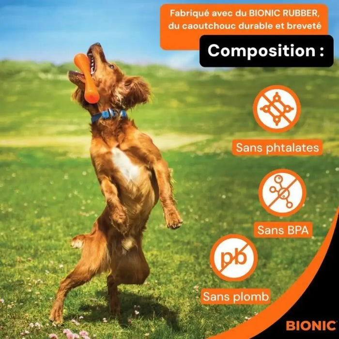 Dog chewing toy Bionic Urban stick Orange M - Домашни Животни<<<Дом Градина<<<BigBuy&&&Играчки<<<Домашни Животни<<<Дом