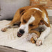 Dog chewing toy Nylabone Brown Bacon Artificial L - Домашни Животни<<<Дом Градина<<<BigBuy&&&Играчки<<<Домашни
