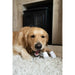 Dog chewing toy Nylabone Brown Peanut butter L - Домашни Животни<<<Дом Градина<<<BigBuy&&&Играчки<<<Домашни