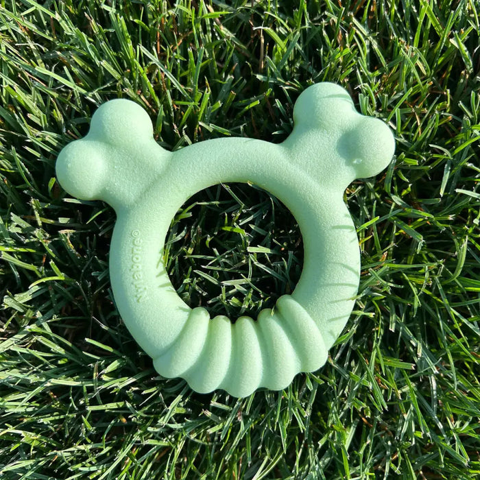 Dog chewing toy Nylabone SENSORY TACTILE RING Green Peanut butter Chicken S - Домашни Животни<<<Дом