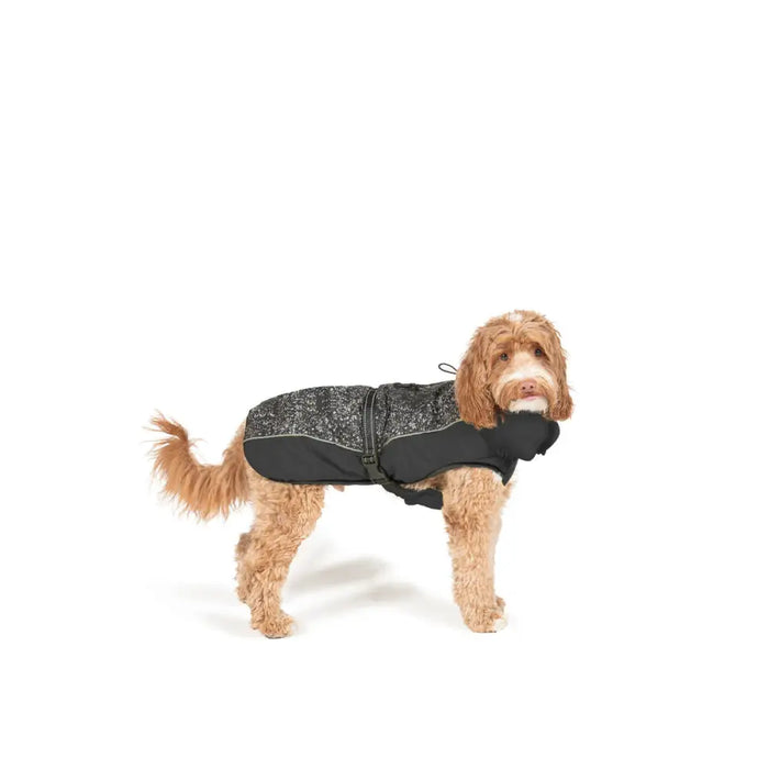 Dog Coat Dog Gone Smart Black 30 cm - Домашни Животни<<<Дом Градина<<<BigBuy&&&Пътуване и разходки<<<Домашни