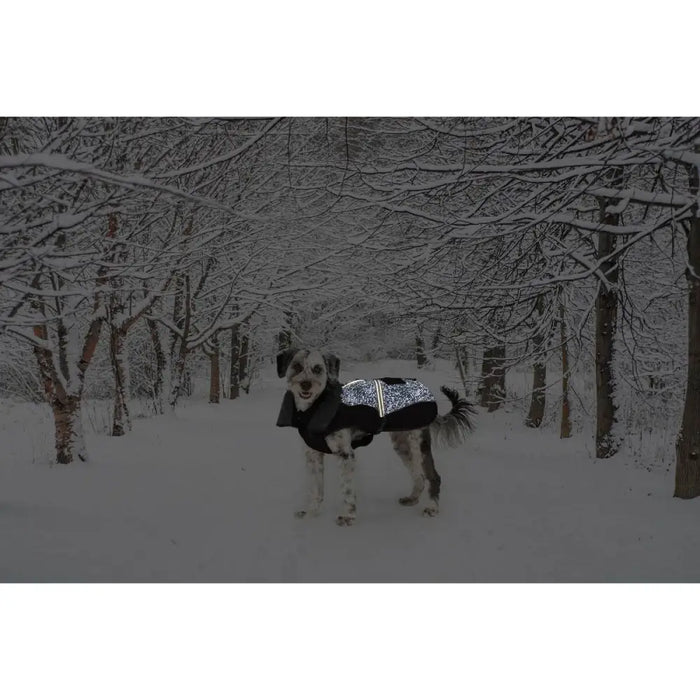 Dog Coat Dog Gone Smart Black 30 cm - Домашни Животни<<<Дом Градина<<<BigBuy&&&Пътуване и разходки<<<Домашни