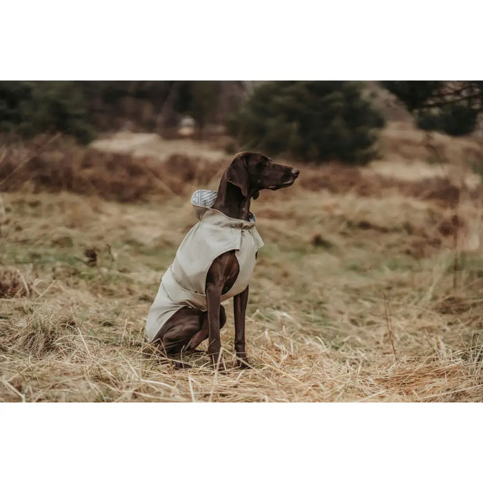 Dog Coat Hunter Milford Beige 45 cm Rectangular - Домашни Животни<<<Дом Градина<<<BigBuy&&&Пътуване и