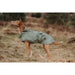 Dog Coat Hunter Milford Green 45 cm - Домашни Животни<<<Дом Градина<<<BigBuy&&&Пътуване и разходки<<<Домашни