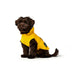 Dog Coat Hunter Milford Yellow 25 cm - Домашни Животни<<<Дом Градина<<<BigBuy&&&Пътуване и разходки<<<Домашни