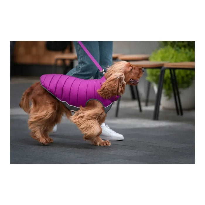Dog Coat Red Dingo Puffer 50 cm Pink/Purple - Домашни Животни<<<Дом Градина<<<BigBuy&&&Пътуване и разходки<<<Домашни