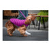 Dog Coat Red Dingo Puffer 50 cm Pink/Purple - Домашни Животни<<<Дом Градина<<<BigBuy&&&Пътуване и разходки<<<Домашни