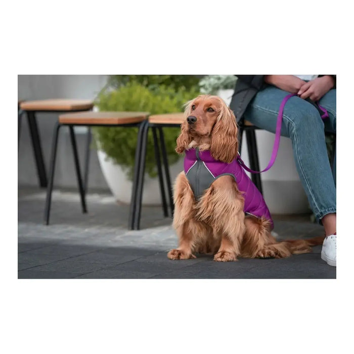 Dog Coat Red Dingo Puffer 50 cm Pink/Purple - Домашни Животни<<<Дом Градина<<<BigBuy&&&Пътуване и разходки<<<Домашни