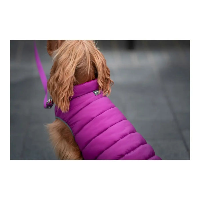 Dog Coat Red Dingo Puffer 50 cm Pink/Purple - Домашни Животни<<<Дом Градина<<<BigBuy&&&Пътуване и разходки<<<Домашни