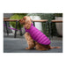 Dog Coat Red Dingo Puffer 50 cm Pink/Purple - Домашни Животни<<<Дом Градина<<<BigBuy&&&Пътуване и разходки<<<Домашни