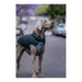 Dog Coat Red Dingo Puffer Black/Grey 60 cm - Домашни Животни<<<Дом Градина<<<BigBuy&&&Пътуване и разходки<<<Домашни