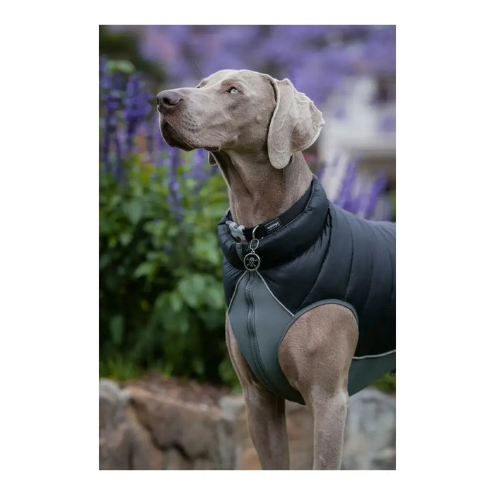 Dog Coat Red Dingo Puffer Black/Grey 60 cm - Домашни Животни<<<Дом Градина<<<BigBuy&&&Пътуване и разходки<<<Домашни