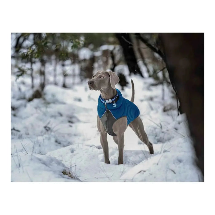 Dog Coat Red Dingo Puffer Turquoise 35 cm - Домашни Животни<<<Дом Градина<<<BigBuy&&&Пътуване и разходки<<<Домашни