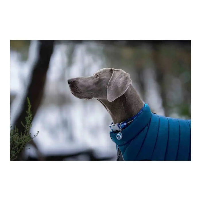 Dog Coat Red Dingo Puffer Turquoise 35 cm - Домашни Животни<<<Дом Градина<<<BigBuy&&&Пътуване и разходки<<<Домашни