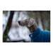 Dog Coat Red Dingo Puffer Turquoise 35 cm - Домашни Животни<<<Дом Градина<<<BigBuy&&&Пътуване и разходки<<<Домашни
