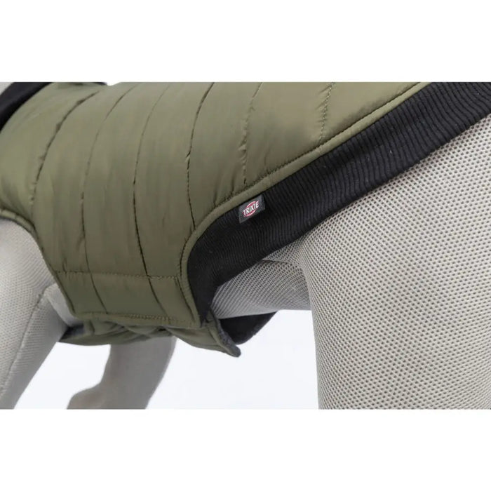 Dog Coat Trixie Arlay Dark green XXS - Домашни Животни<<<Дом Градина<<<BigBuy&&&Пътуване и разходки<<<Домашни