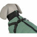 Dog Coat Trixie Green XXS - Домашни Животни<<<Дом Градина<<<BigBuy&&&Пътуване и разходки<<<Домашни Животни<<<Дом