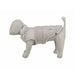 Dog Coat Trixie Grey XS - Домашни Животни<<<Дом Градина<<<BigBuy&&&Пътуване и разходки<<<Домашни Животни<<<Дом