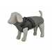 Dog Coat Trixie Grey XS - Домашни Животни<<<Дом Градина<<<BigBuy&&&Пътуване и разходки<<<Домашни Животни<<<Дом