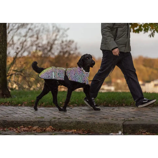 Dog coat Trixie Limoux Reflect Multicolour M - Домашни Животни<<<Дом Градина<<<BigBuy&&&Пътуване и разходки<<<Домашни