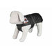 Dog Coat Trixie Paris Black S - Домашни Животни<<<Дом Градина<<<BigBuy&&&Пътуване и разходки<<<Домашни Животни<<<Дом
