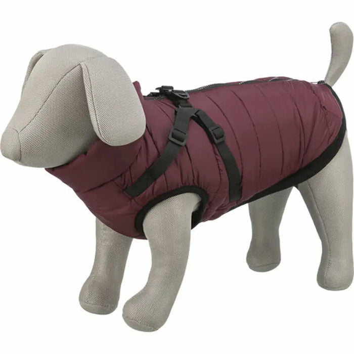 Dog Coat Trixie Pirou Maroon M - Домашни Животни<<<Дом Градина<<<BigBuy&&&Пътуване и разходки<<<Домашни Животни<<<Дом