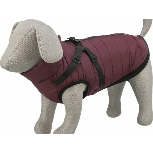 Dog Coat Trixie Pirou Maroon M - Домашни Животни<<<Дом Градина<<<BigBuy&&&Пътуване и разходки<<<Домашни Животни<<<Дом