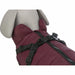 Dog Coat Trixie Pirou Maroon S - Домашни Животни<<<Дом Градина<<<BigBuy&&&Пътуване и разходки<<<Домашни Животни<<<Дом