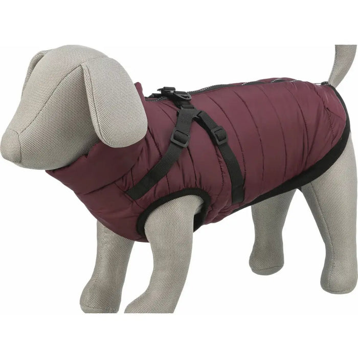 Dog Coat Trixie Pirou Maroon S - Домашни Животни<<<Дом Градина<<<BigBuy&&&Пътуване и разходки<<<Домашни Животни<<<Дом