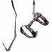 Dog collar Aimé - Домашни Животни<<<Дом Градина<<<BigBuy&&&Пътуване и разходки<<<Домашни Животни<<<Дом Градина<<<BigBuy