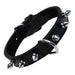 Dog collar Gloria Black Spikes (30 cm) - Домашни Животни<<<Дом Градина<<<BigBuy&&&Пътуване и разходки<<<Домашни