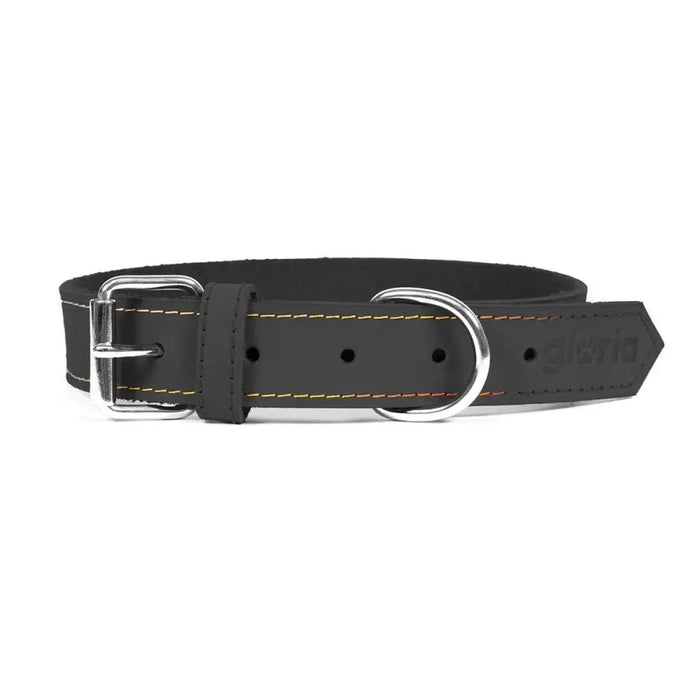 Dog collar Gloria Oasis Black (1,5 x 40 cm) - Домашни Животни<<<Дом Градина<<<BigBuy&&&Пътуване и разходки<<<Домашни