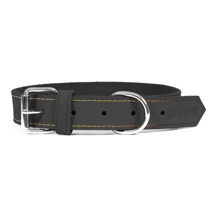 Dog collar Gloria Oasis Black (50 x 2,1 cm) - Домашни Животни<<<Дом Градина<<<BigBuy&&&Пътуване и разходки<<<Домашни