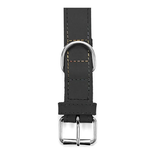 Dog collar Gloria Oasis Black (50 x 2,1 cm) - Домашни Животни<<<Дом Градина<<<BigBuy&&&Пътуване и разходки<<<Домашни