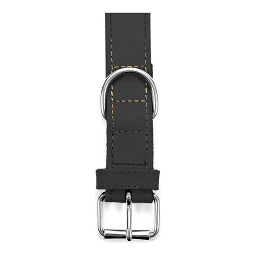 Dog collar Gloria Oasis Black (55 x 2,5 cm) - Домашни Животни<<<Дом Градина<<<BigBuy&&&Пътуване и разходки<<<Домашни