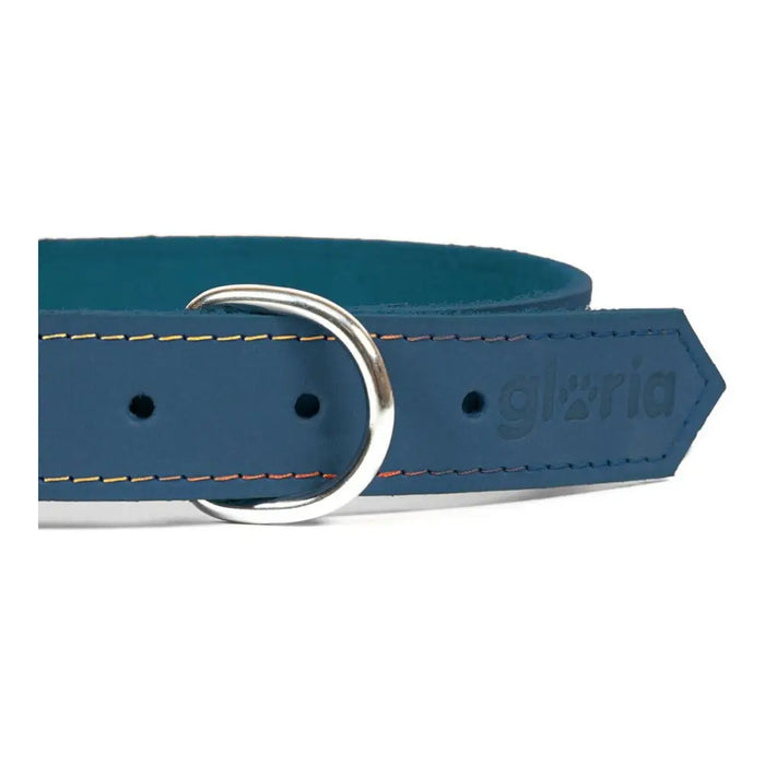 Dog collar Gloria Oasis Blue (65 x 3 cm) - Домашни Животни<<<Дом Градина<<<BigBuy&&&Пътуване и разходки<<<Домашни
